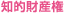 知的財産権