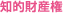 知的財産権