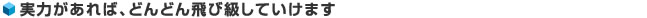 実力があれば、どんどん飛び級していけます