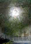 uƋL̘c݁v