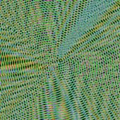 Moiration Project