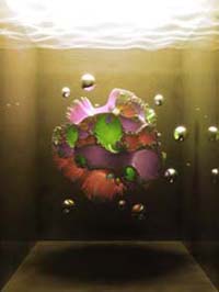 sprout of cosmos