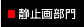 Î~敔 