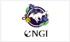 ENGI